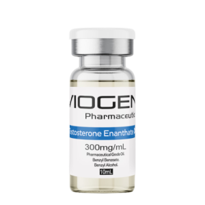 Viogen Testosterone Enanthate 300